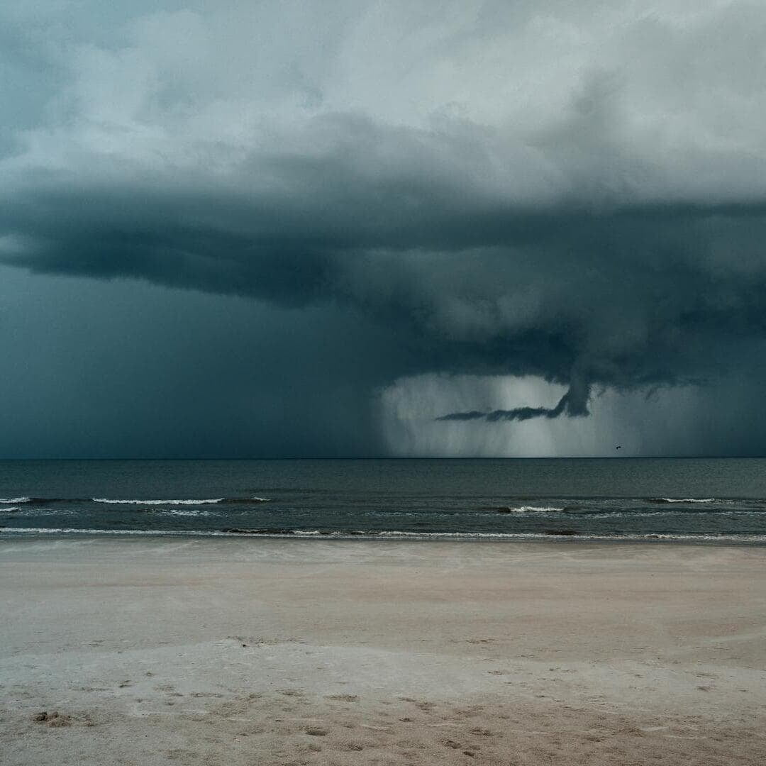 Mastering Purchasing Skills: Essential for Business Growth | Nomix