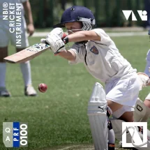 NBI® Cricket Instrument